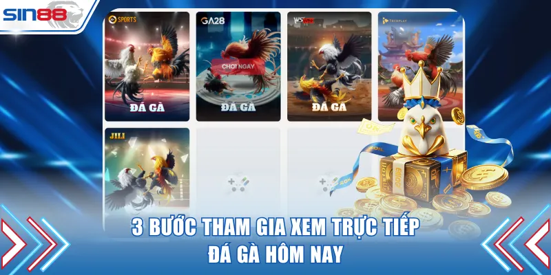 3 bước tham gia xem trực tiếp đá gà hôm nay