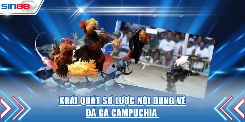 Khái quát sơ lược nội dung về đá gà Campuchia 